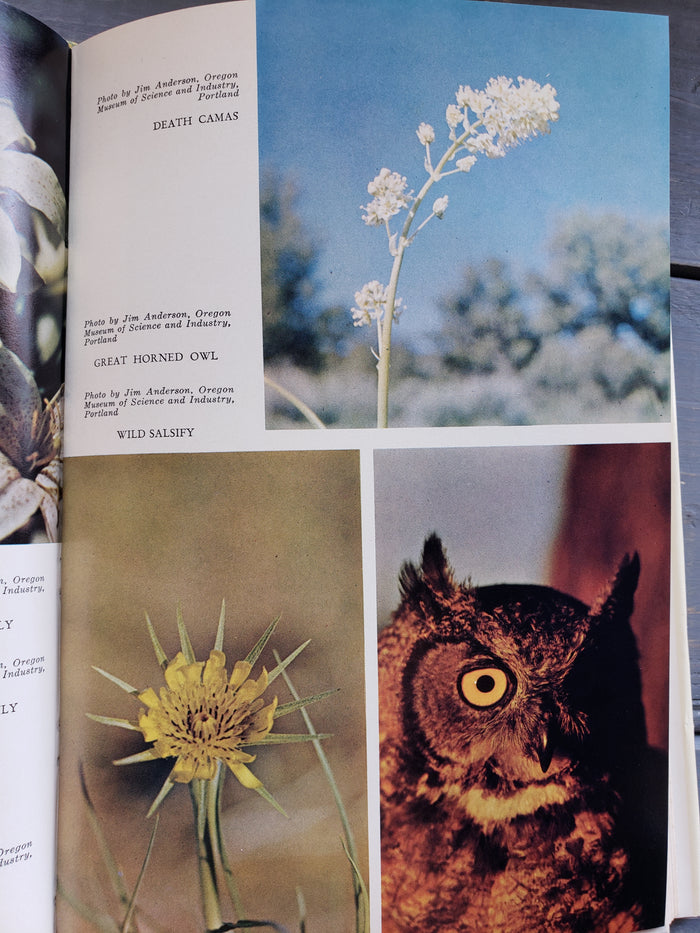 The Oregon Desert (1965) by ER Jackman and RA Long
