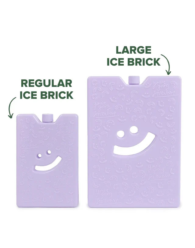 The Somewhere Co Reusable Ice Brick - Large