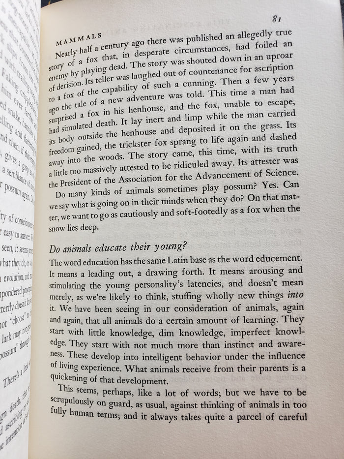 This Fascinating Animal World by Alan DeVoe (1959)