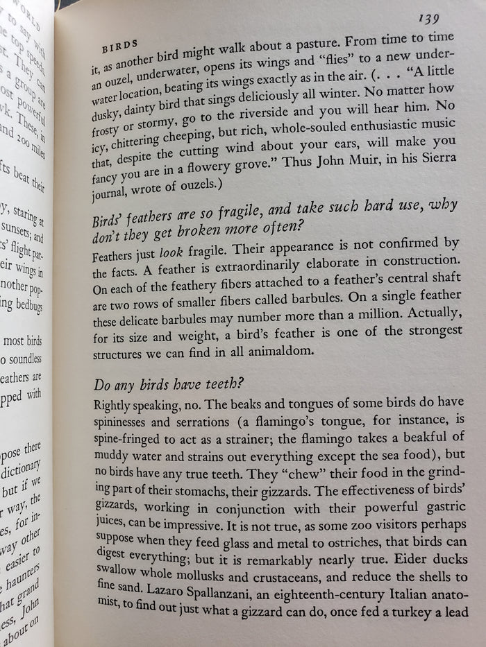 This Fascinating Animal World by Alan DeVoe (1959)