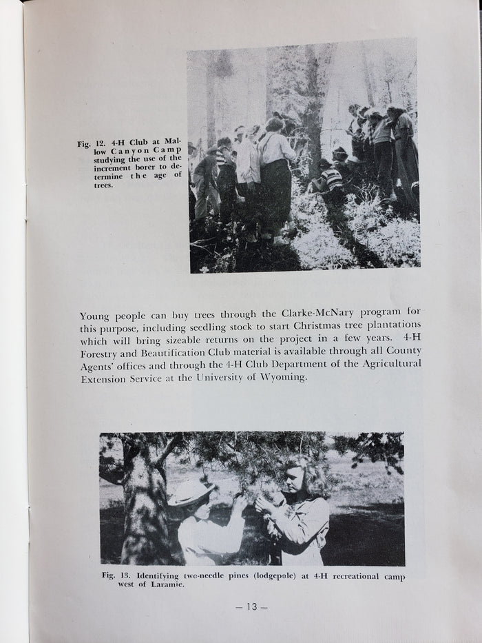 Trees for Protection and Profit (1951)