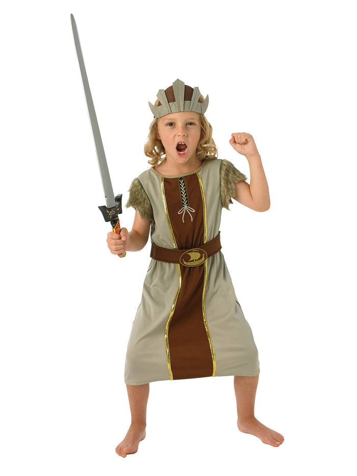 Viking Boy Kids Costume