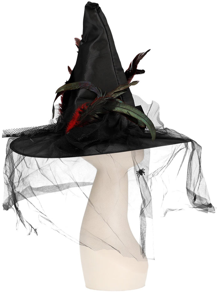 Witch Hat, Feathers & Netting