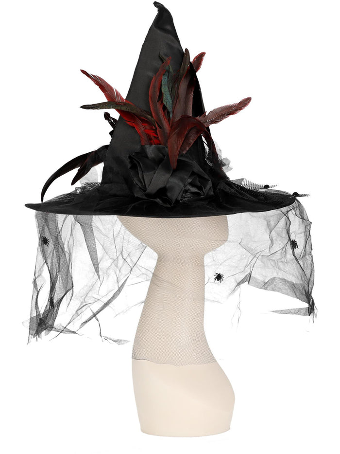 Witch Hat, Feathers & Netting