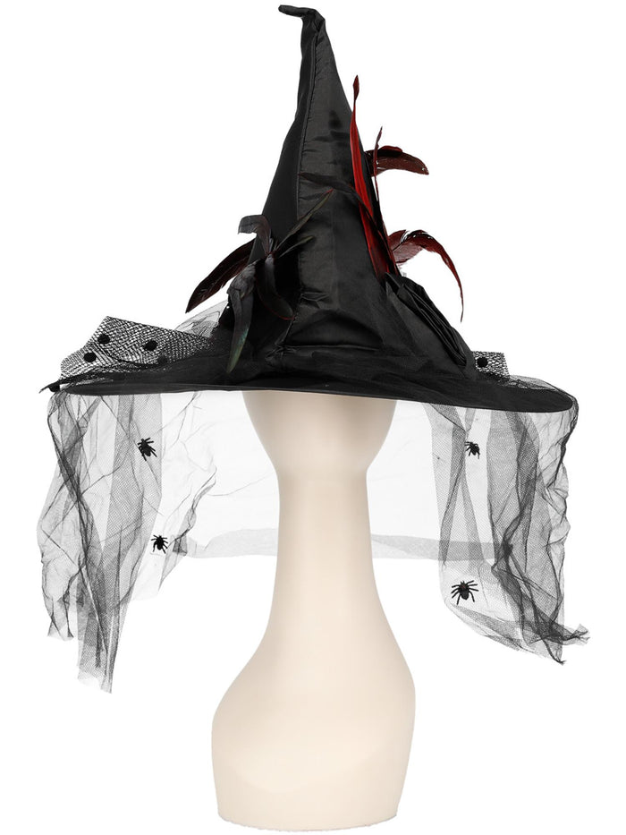 Witch Hat, Feathers & Netting