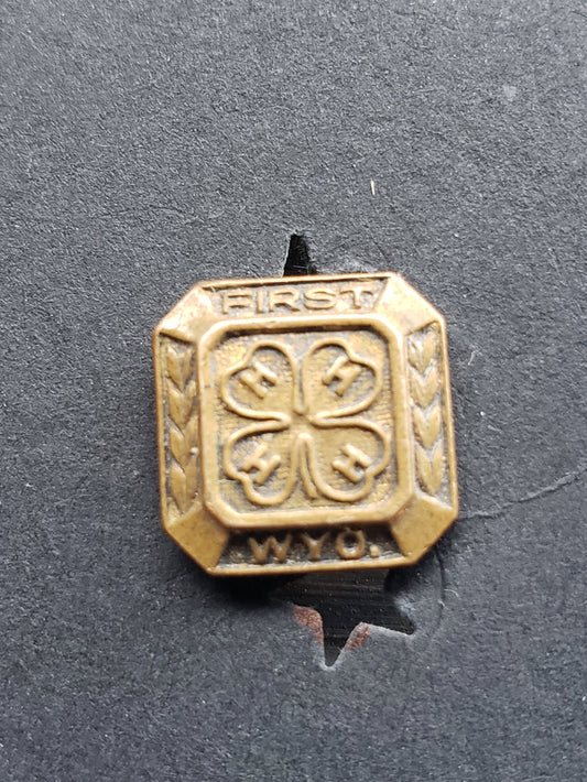 Wyoming 4 H Pin