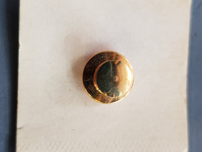 Wyoming American Farm Bureau lapel pin